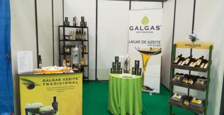 stand_galgas